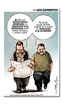 Los expertos